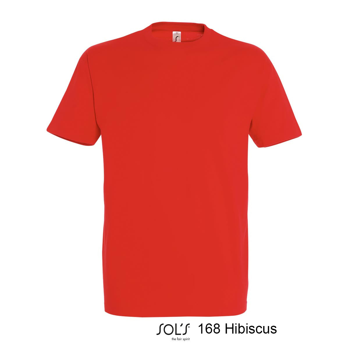 Herren T-Shirt`s bedruckt inkl. Shirt 47 Farben